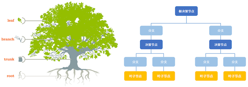 decision tree