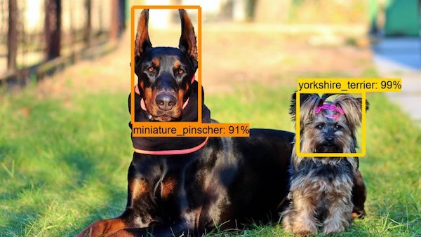 object detection