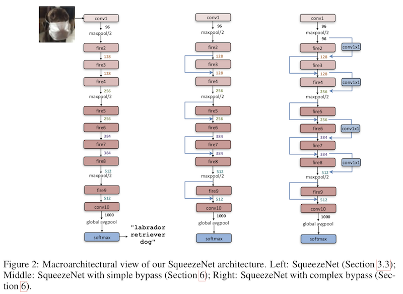 squeezenet